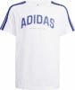 adidas J C COLLEG TEE T-Shirt 100%BW