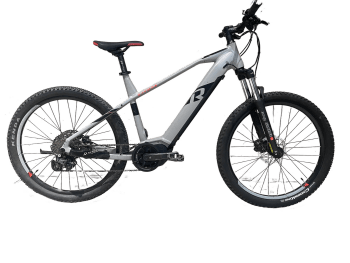 Raymon Hardray E6.0