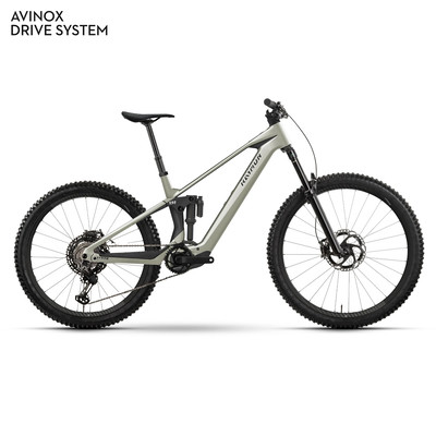 Ein Mountain-E-Bike mit Dämpfer und Federgabel in neutraler Farbe.
