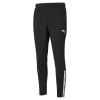 Puma teamLIGA Trainingshose