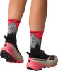 Dynafit Traverse 2 GTX Traillaufschuhe