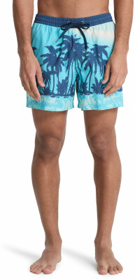 Quiksilver Everyday Badeshorts