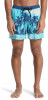 Quiksilver Everyday Badeshorts