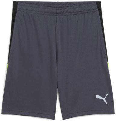 Puma IndividualLIGA Trainingsshorts