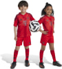 adidas FC Bayern München Mini Heimausrüstung