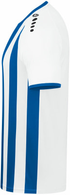 Jako Inter Trainingstrikot
