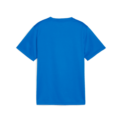 Puma teamGOAL Trainingsshirt