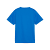 Puma teamGOAL Trainingsshirt