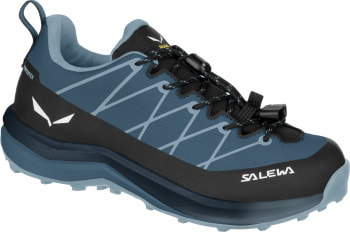 Salewa Wildfire 2 GTX Outdoorschuhe