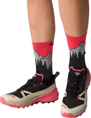 Dynafit Traverse 2 GTX Traillaufschuhe Dynafit Traverse 2 GTX Traillaufschuhe