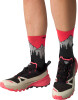 Dynafit Traverse 2 GTX Traillaufschuhe