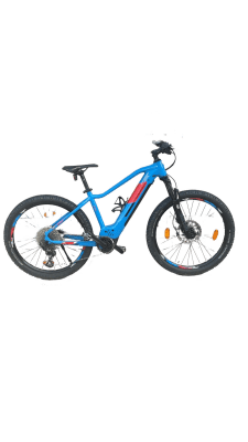Genesis E-Pro MTB 2.2 LTD