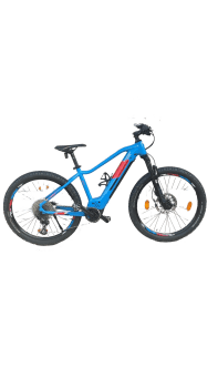 Genesis E-Pro MTB 2.2 LTD