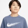 Nike Multi Dri-FIT T-Shirt