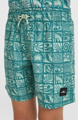 O'Neill Print Badeshort O'Neill Print Badeshort