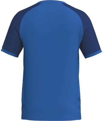 Rückansicht eines blauen T-Shirts mit dunkelblauen Ärmeln und Kragen. Rückansicht eines blauen T-Shirts mit dunkelblauen Ärmeln und Kragen.