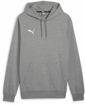 Puma teamGOAL Casuals Hoodie