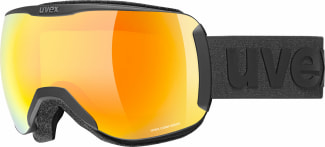 Downhill 2100 CV Skibrille