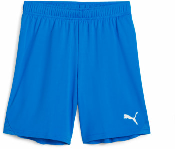 Puma teamGOAL Shorts