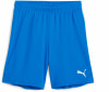 Puma teamGOAL Shorts