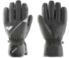 Zanier Budor GTX Skihandschuhe