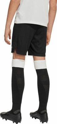 adidas Deutschland Anniversary Shorts