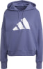 adidas Future Icons Hoodie