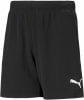 Puma Teamrise Shorts