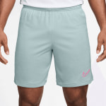 Nike Academy 25 Fußballshorts