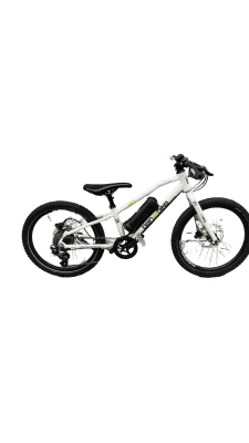 Ben-E-Bike Twenty E-Power