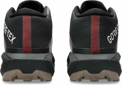 Rückansicht von schwarzen Laufschuhen mit rotem Streifen und GORE-TEX-Schriftzug.