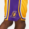 Nike NBA Los Angeles Lakers Icon Basketballshorts