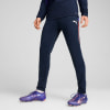 Puma IndividualLIGA Trainingshose