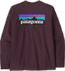 Langarmshirt mit Patagonia-Logo auf dem Rücken in Blau- und Orangetönen.