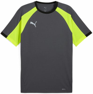 Puma IndividualLIGA T-Shirt