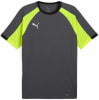 Puma IndividualLIGA T-Shirt