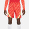 Dri-FIT Strike Soccer Shorts