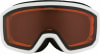Alpina Scarabeo DH Skibrille