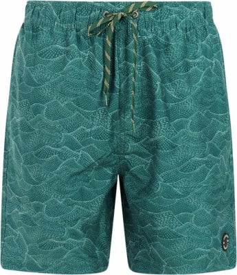 Protest PrtAcorn Beachshort
