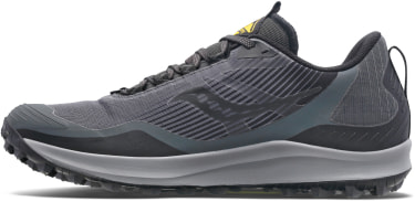 Peregrine 12 GTX Laufschuhe