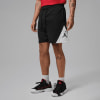 Nike Jordan Sport Basketball Shorts
