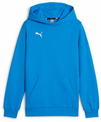 Puma teamGOAL Casuals Hoodie