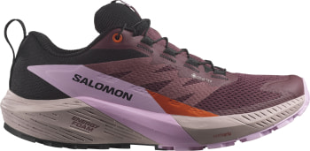 Salomon Sense Ride 5 GTX Traillaufschuhe