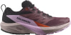 Salomon Sense Ride 5 GTX Traillaufschuhe
