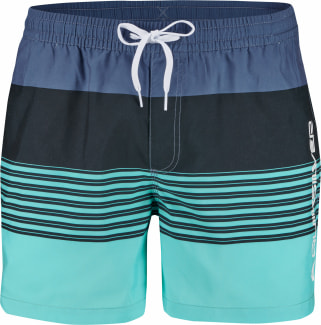 DESERTPOINTVL15 He.-Badeshort, 100% rec. PES