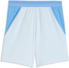 Puma MCFC Shorts Replica Fanshort