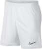 Nike Dri-FIT Academy férfi rövidnadrág