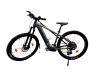 Genesis 24 E-Pro 2.3