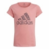 adidas Graphic T-Shirt