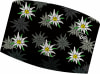 Buff Coolnet UV® Wide Edelweiss Stirnband